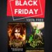 Black Friday book sale poster